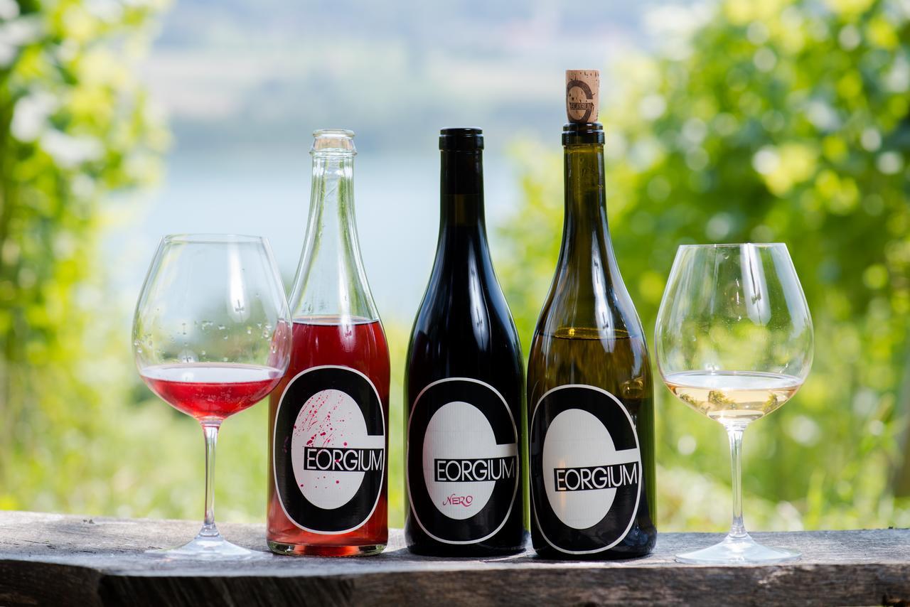 Weingut Georgium Acomodação com café da manhã Sankt Georgen am Längsee Exterior foto