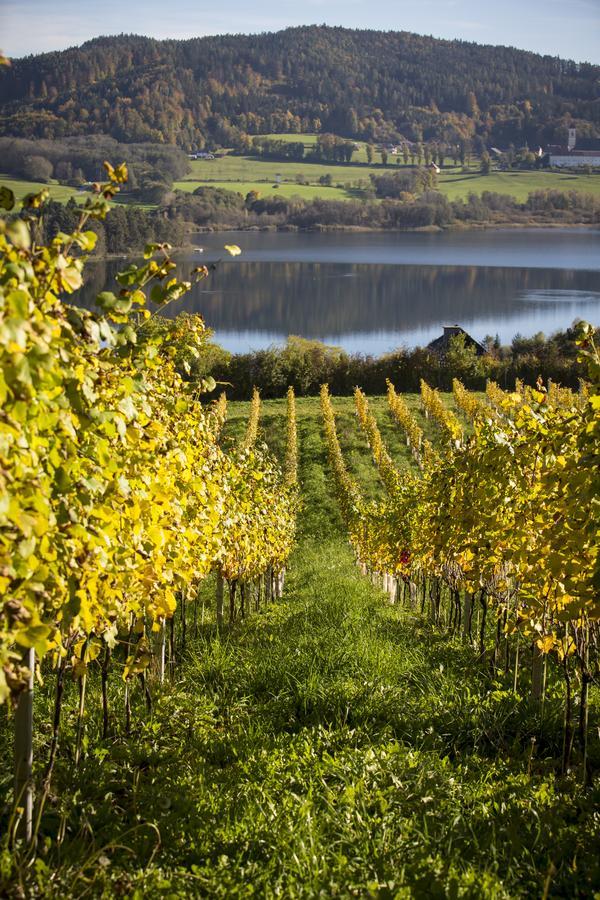 Weingut Georgium Acomodação com café da manhã Sankt Georgen am Längsee Exterior foto